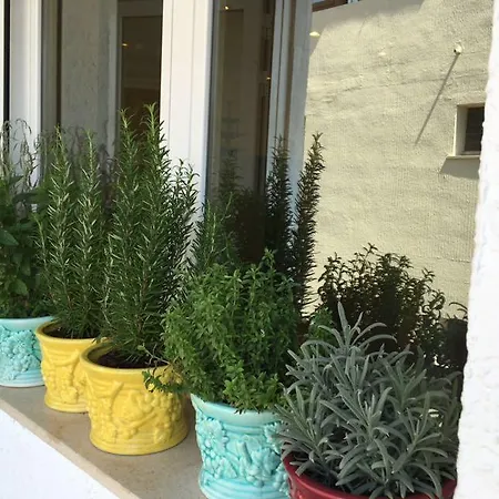 Puerto Harbour Views Denia