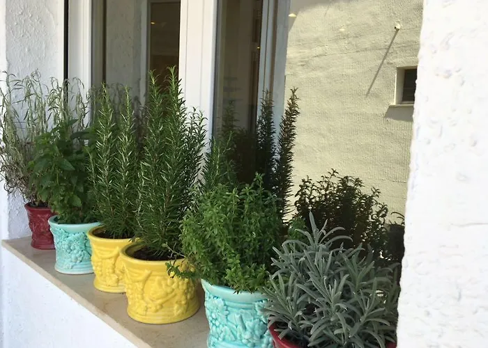 Puerto Harbour Views دينايا